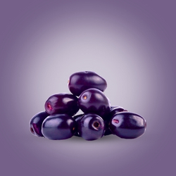 Java plum (Jamun)
