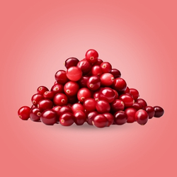 Cranberries (2.5 kg)