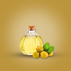 Olive Oil