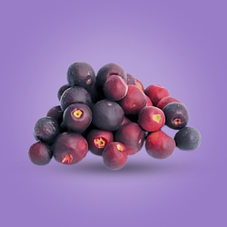 Phalsa (1Kg)